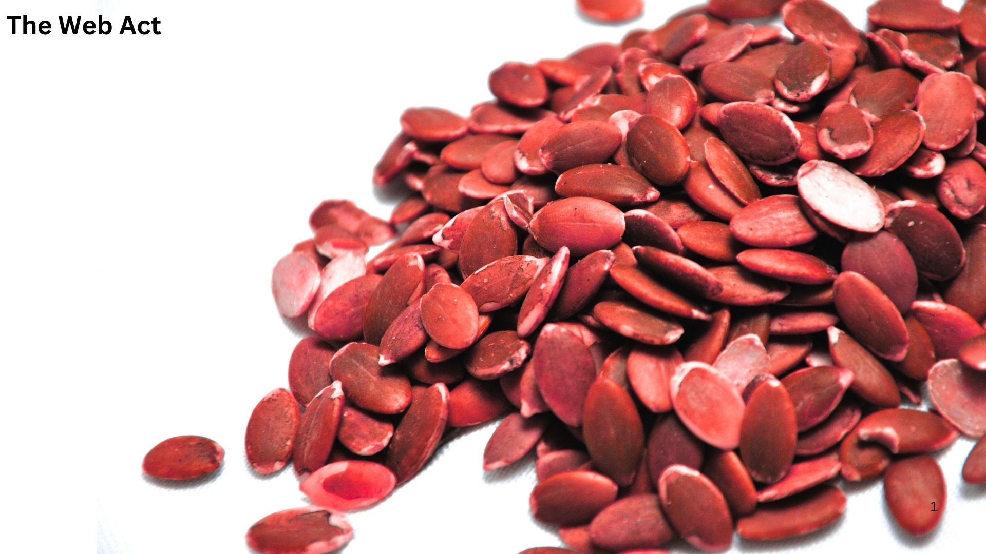 watermelon seeds, watermelon seed, ত্বকের যত্নে তরমুজ, Watermelon for skin care, toker jotne tormuj