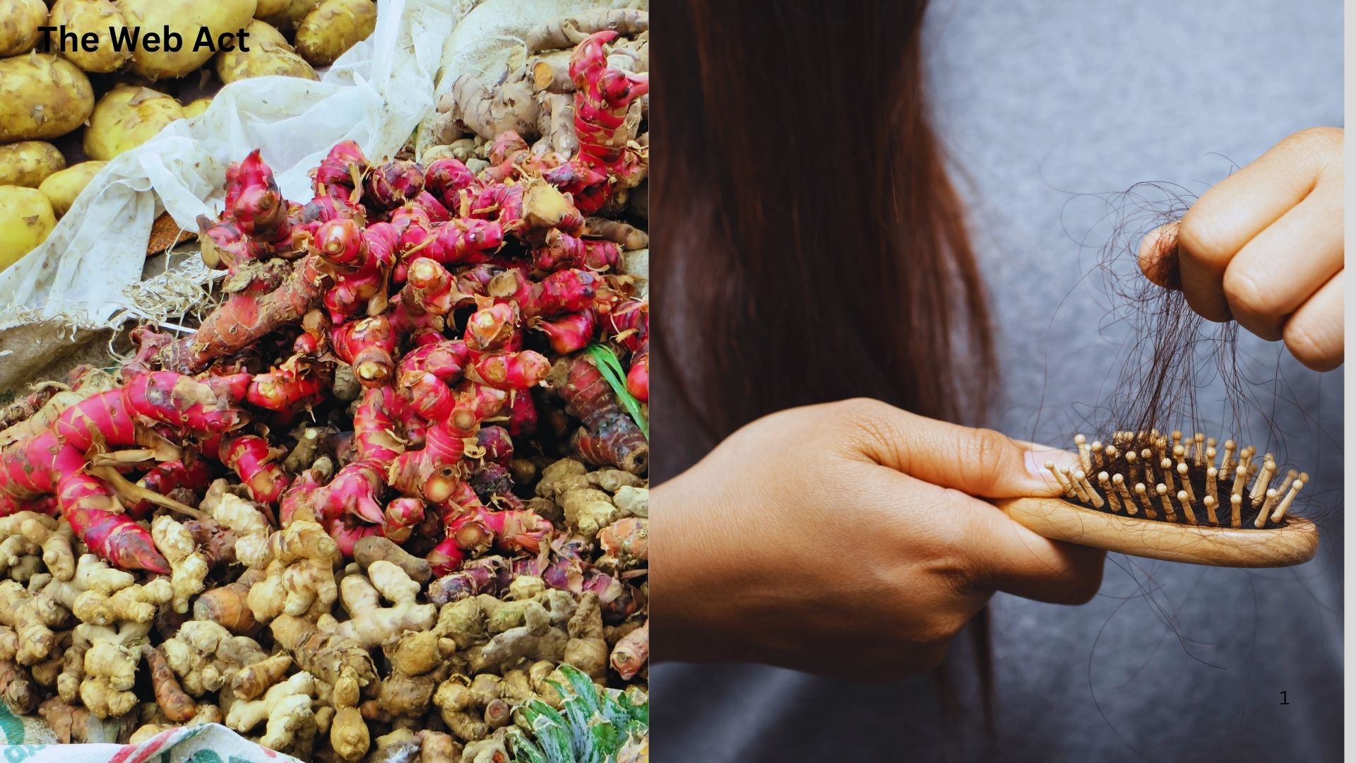 আদা চুল পড়া কমায় , Ginger reduces hair loss