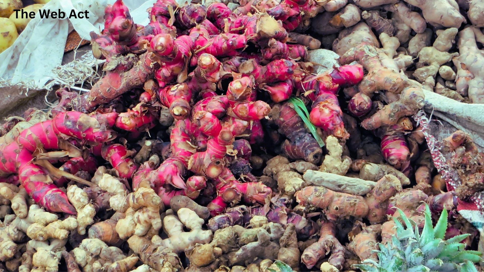 আদার ব্যবহারের পদ্ধতি , How to use ginger