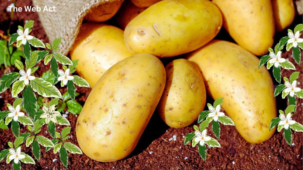 আলুর উপকারিতা, Benefits of Potatoes
