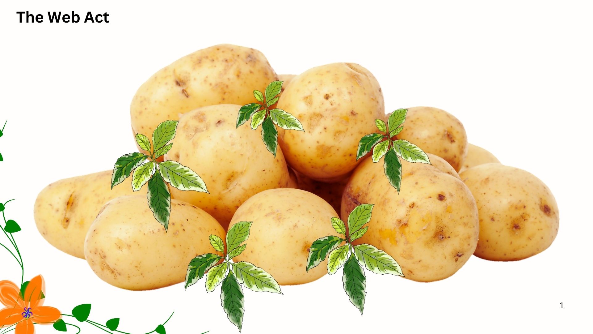 আলুর উপকারিতা, Benefits of Potatoes