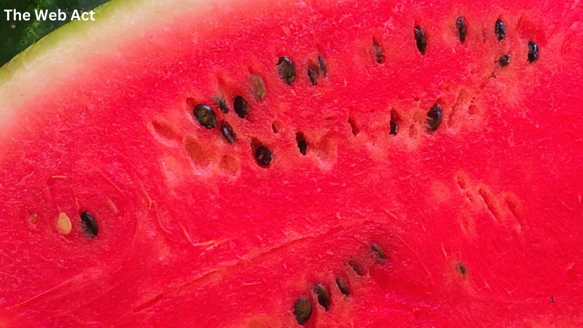watermelon seeds, watermelon seed, ত্বকের যত্নে তরমুজ, Watermelon for skin care, toker jotne tormuj