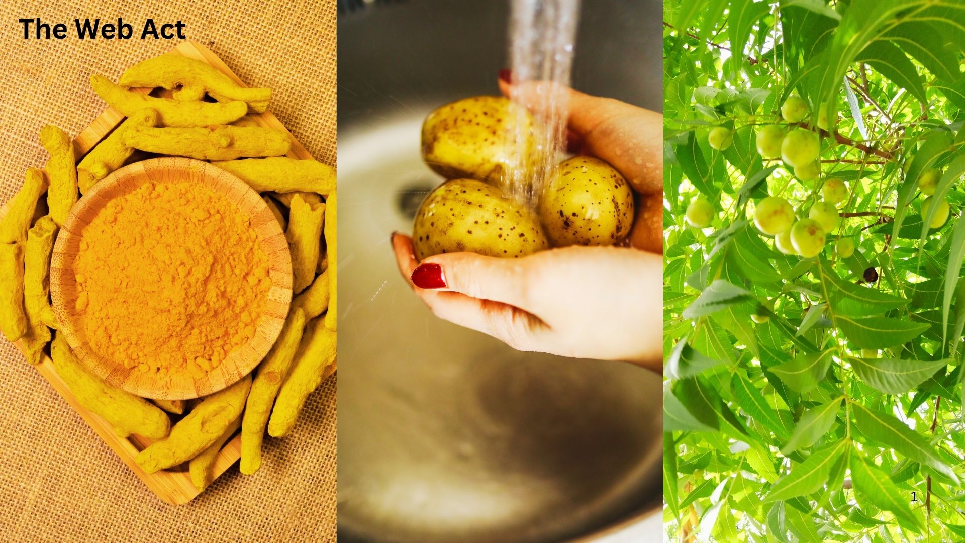 ব্রণ ও ব্রণের দাগ দূর করতে  আলু, Potatoes to remove acne and acne scars, ব্রণ দূর করতে আলুর ফেসপ্যাক তৈরির পদ্ধতি